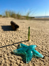 🌊 Etoile de mer Décorative - modèle VIKI