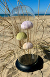 Globe en Verre avec Oursins de Mer