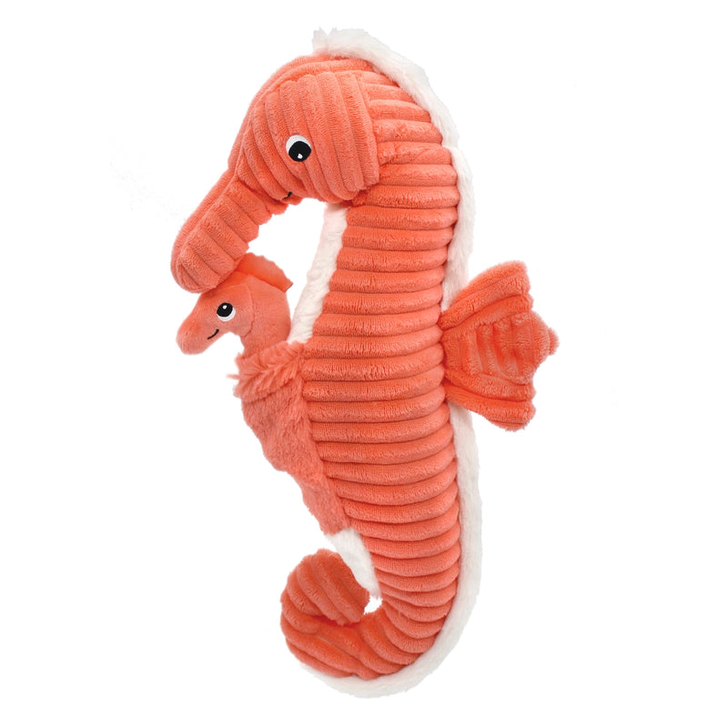 "PAPADOU", l'hippocampe et son bébé Corail