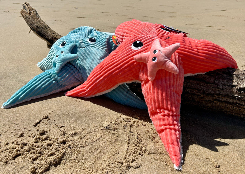 Peluche étoile de mer "Wahou" maman et son bébé bleu Corail