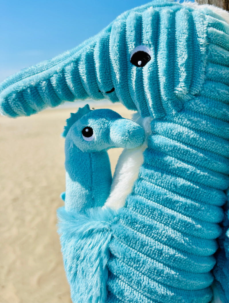 "PAPADOU", l'hippocampe et son bébé Aqua