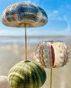Oursins sous globe en verre