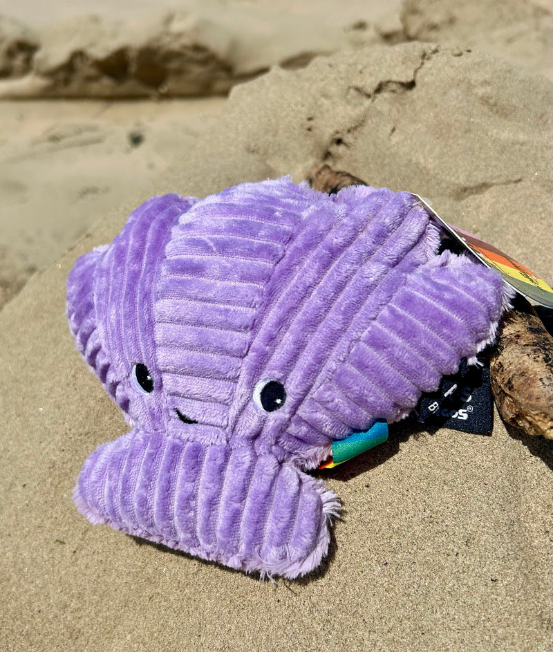 Peluche Coquille "Tetrochou" - Violet