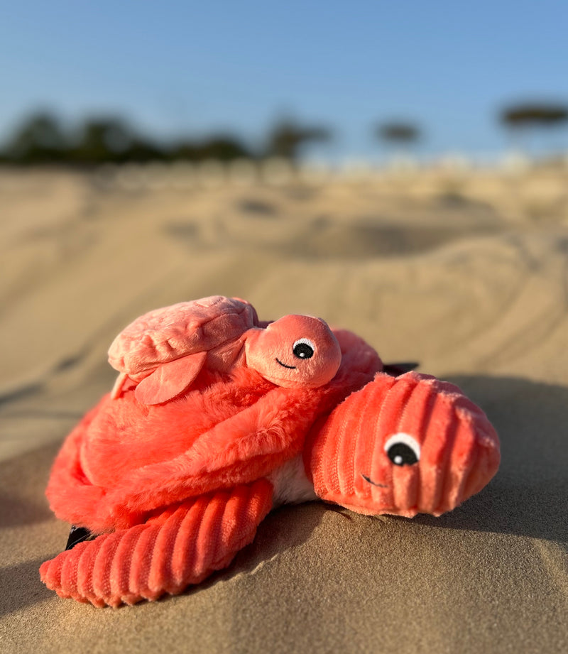 "SAUVENOU", la tortue et son bébé Corail