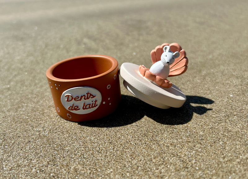 Boite à dent Coquillage