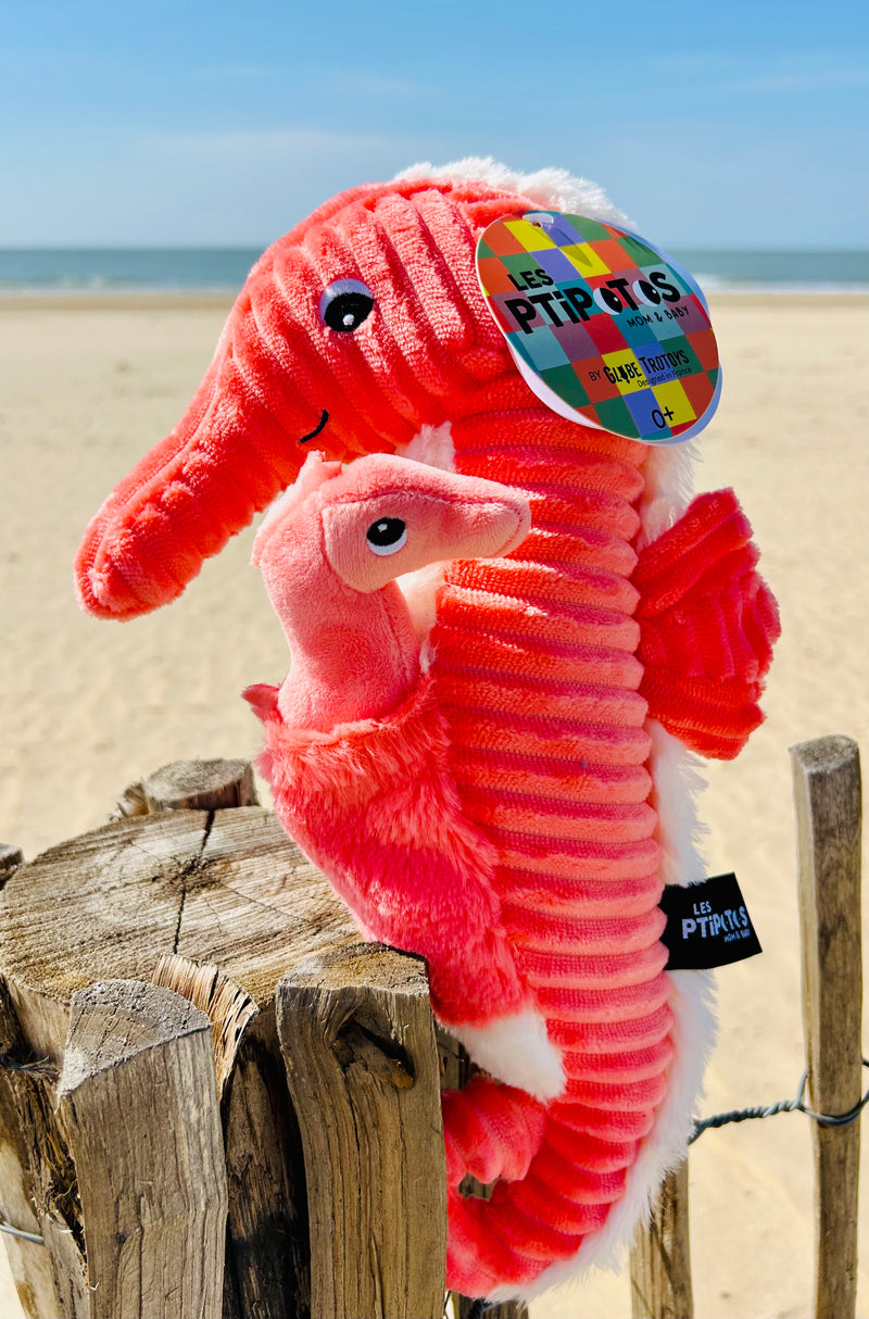 "PAPADOU", l'hippocampe et son bébé Corail