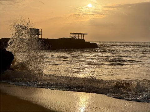 Coucher de soleil sur les carrelets de Saint Palais - impression sur bois