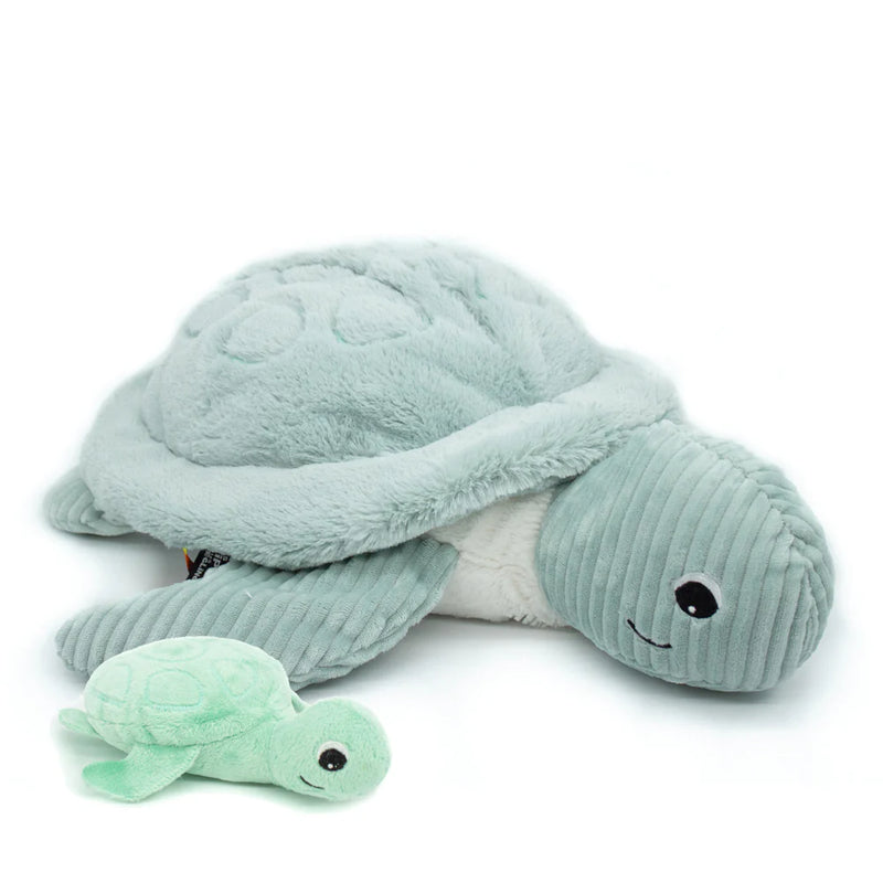 "SAUVENOU", la tortue géante et son bébé menthe