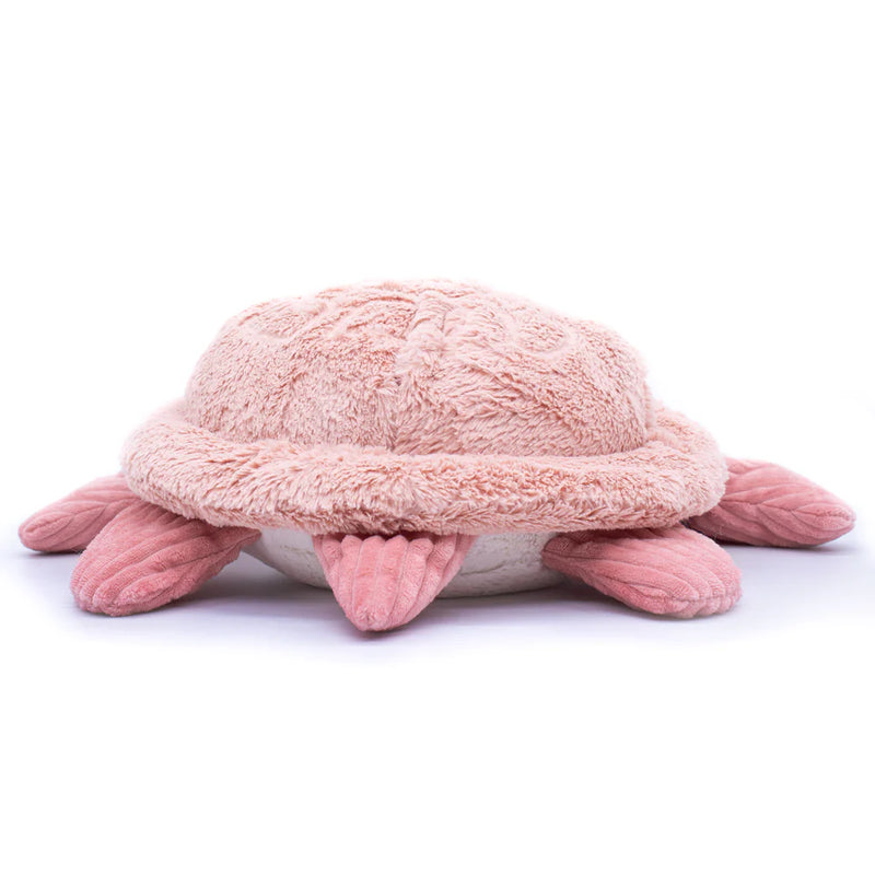 "SAUVENOU", la tortue géante et son bébé rose