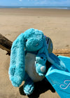 Peluche "Toudou" le lapin et son bébé