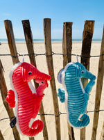 "PAPADOU", l'hippocampe et son bébé Corail