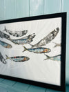 Le Banc de Sardines