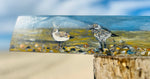 Peinture sur 1/2 douelle - Oiseaux du littoral