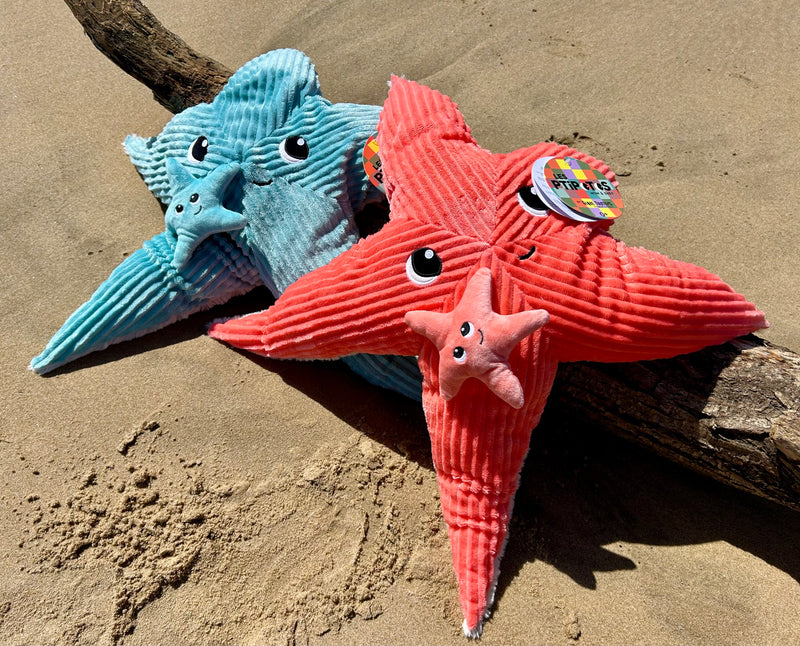 Peluche étoile de mer "Wahou" maman et son bébé bleu Corail
