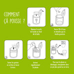 Kit de graines à semer "Merci Maîtresse"