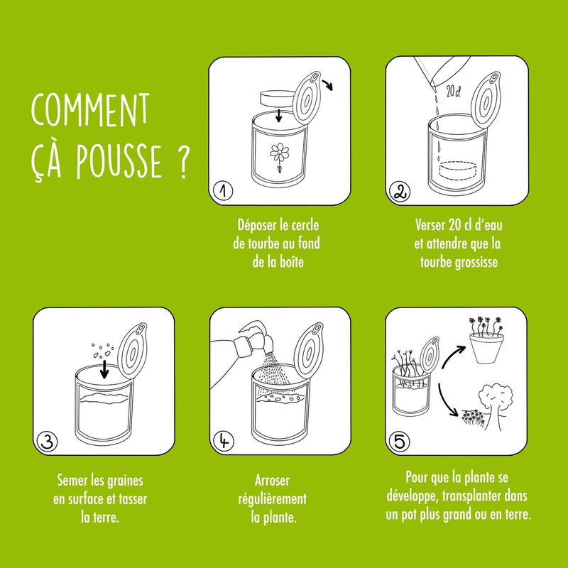 Kit de graines à semer "Merci Maîtresse"