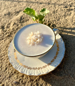 Bougie  dans sa tasse "La Belle-Epoque" Ambre & vanille