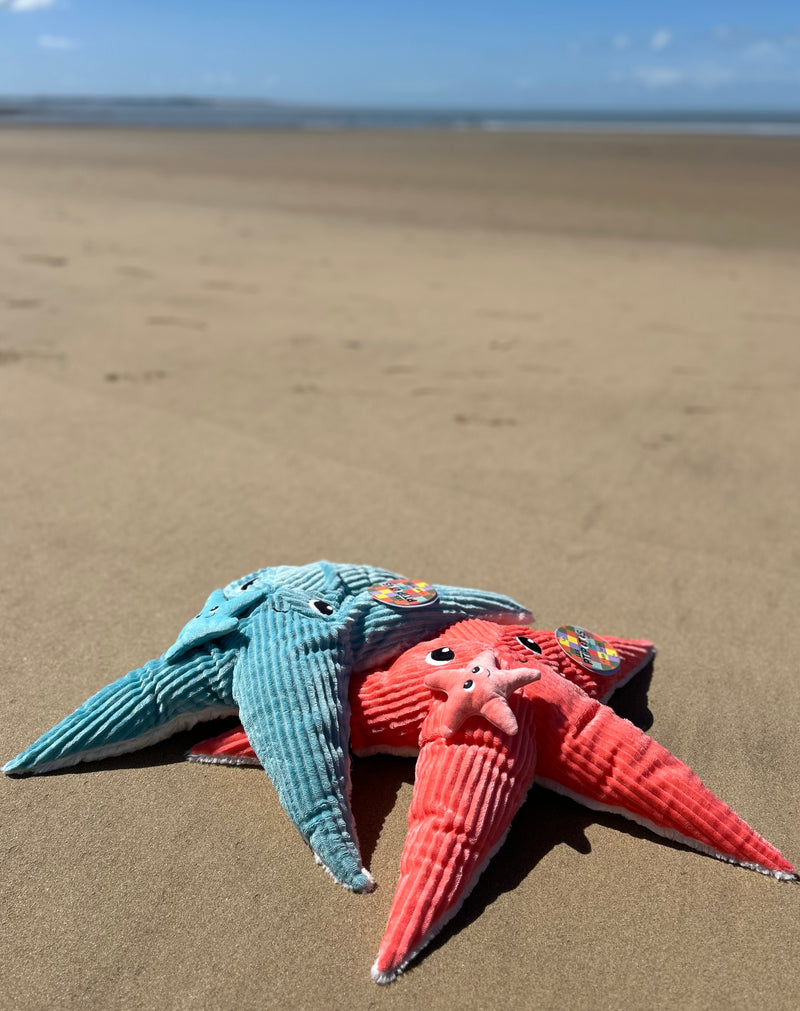 Peluche étoile de mer "Wahou" maman et son bébé bleu aqua