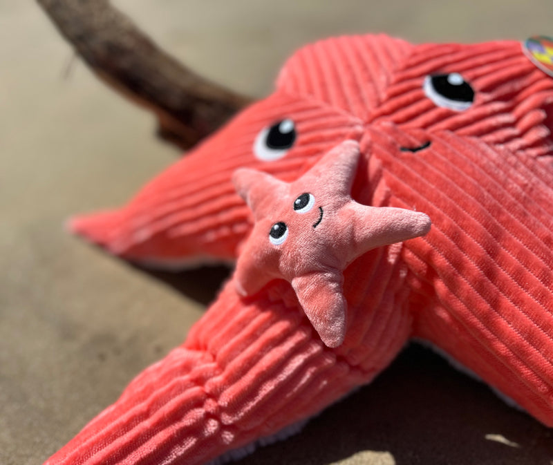 Peluche étoile de mer "Wahou" maman et son bébé bleu Corail