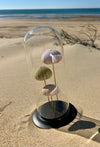Globe en Verre avec Oursins de Mer