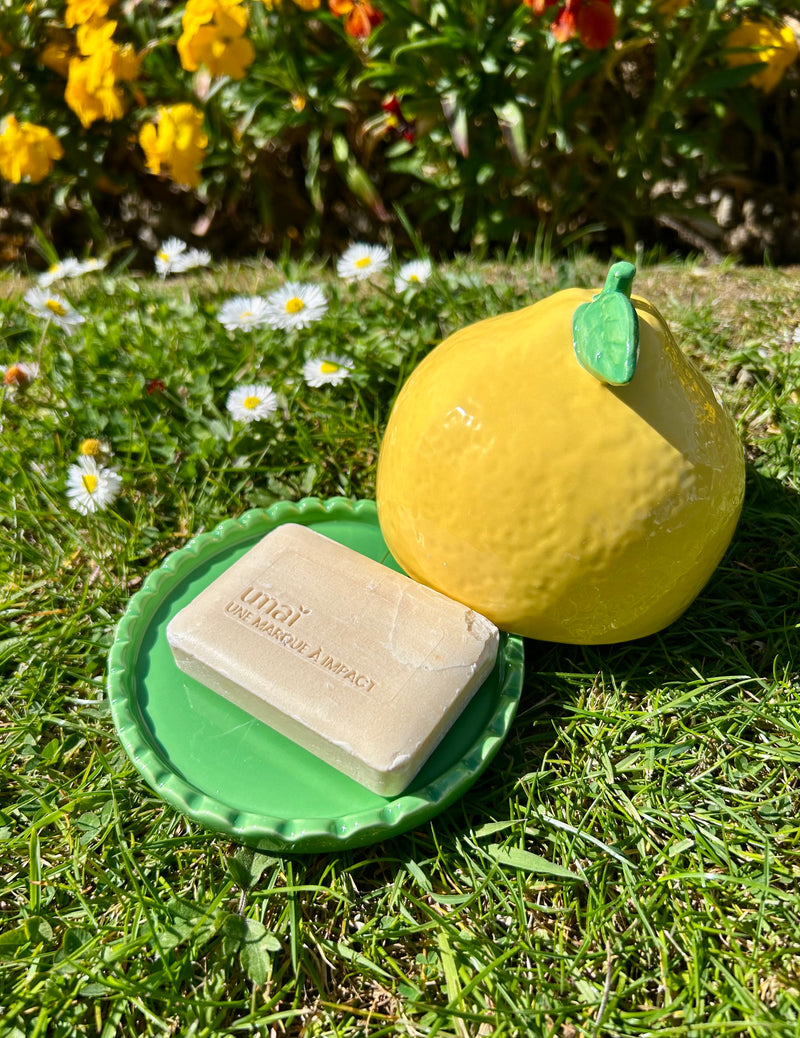 Boite coupelle citron