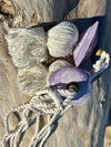 Embrase bivalve violet