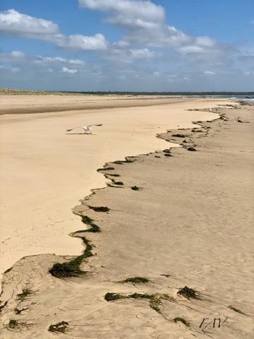 La Côte sauvage - impression sur bois