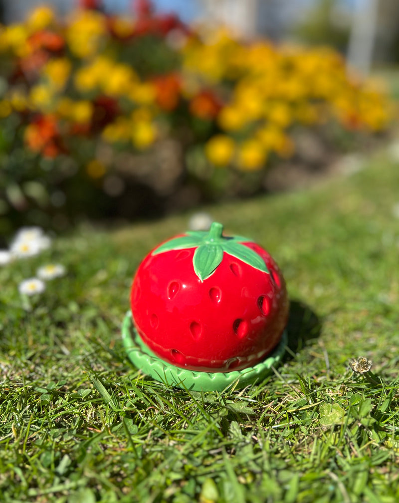 Boite coupelle fraise