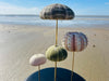 Oursins sous globe en verre