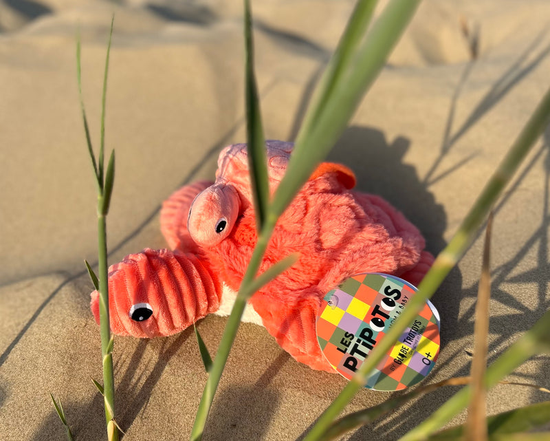 "SAUVENOU", la tortue et son bébé Corail