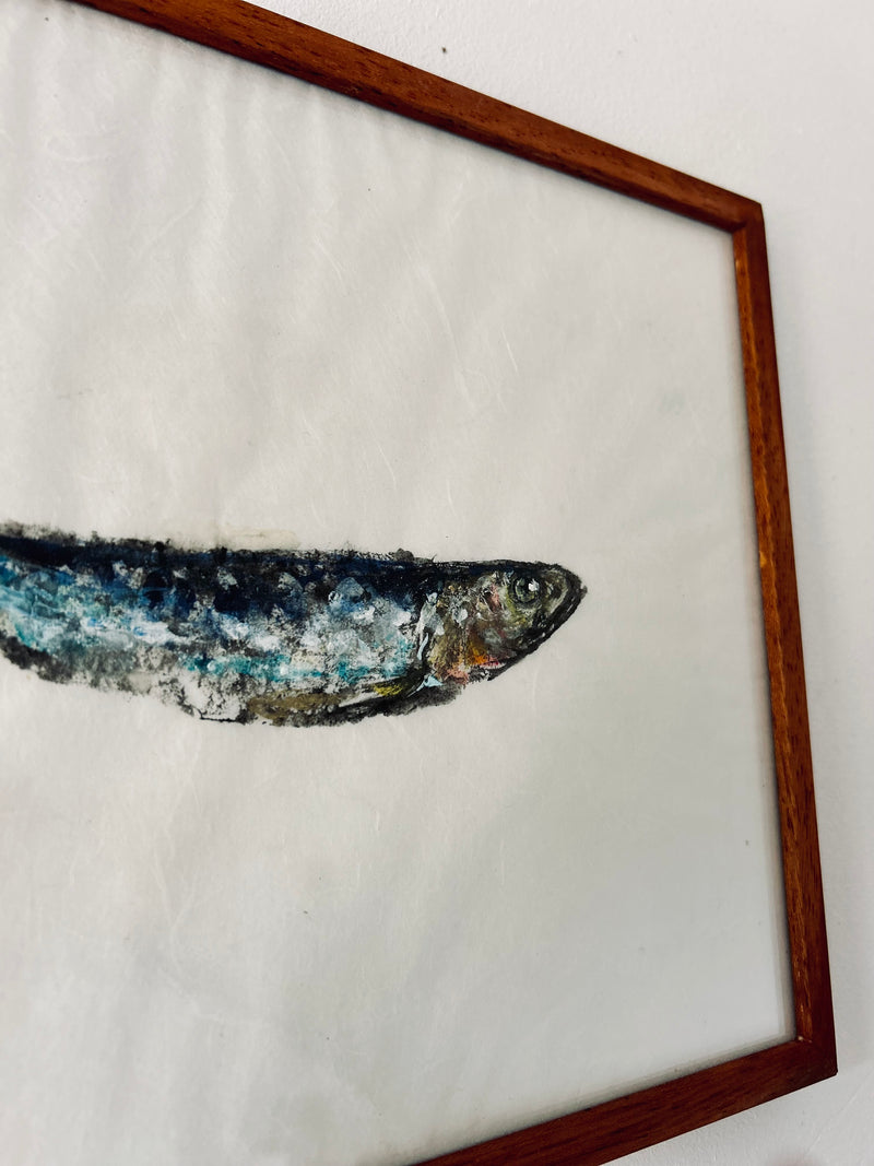 La sardine argentée signée Didier Grare