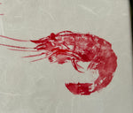 La crevette Mayo