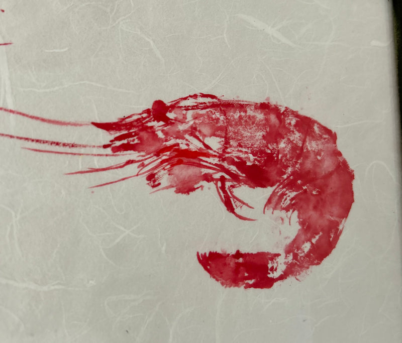 La crevette Mayo