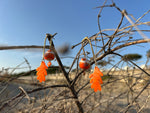 Boucles d'Oreilles artisanales "Écume d’Orange"