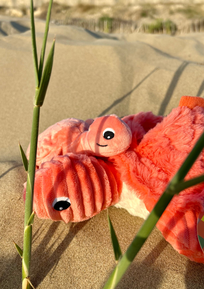 "SAUVENOU", la tortue et son bébé Corail