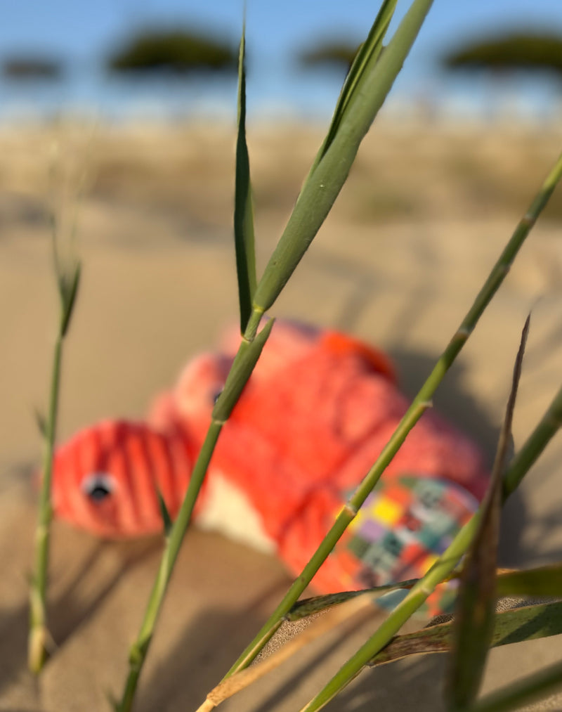 "SAUVENOU", la tortue et son bébé Corail