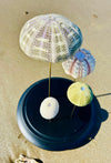 Oursins sous globe en verre