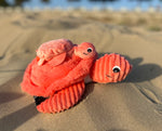 "SAUVENOU", la tortue et son bébé Corail