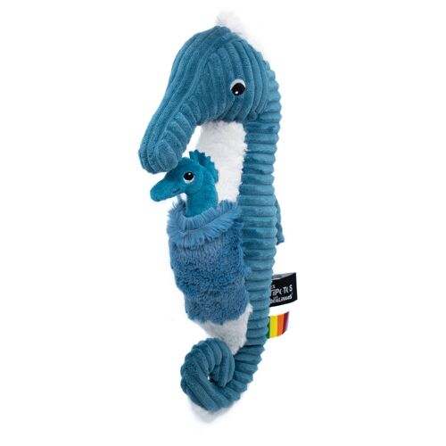 "PAPADOU", l'hippocampe et son bébé Bleu