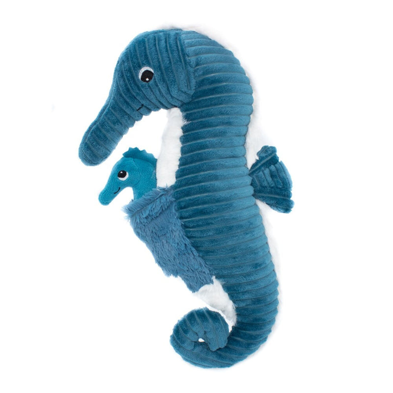 "PAPADOU", l'hippocampe et son bébé Bleu