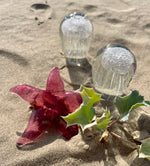 Méduse sulfure Rose