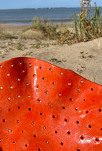 Coupe à fruits de présentation percée