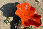 Coupe à fruits de présentation percée