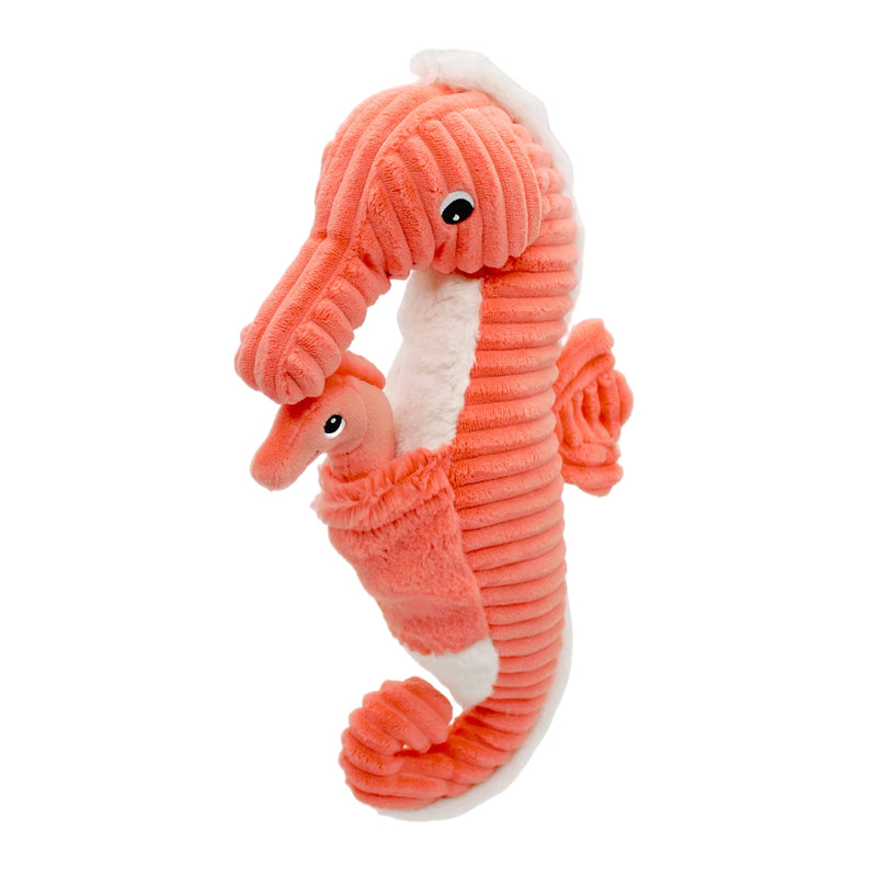 "PAPADOU", l'hippocampe et son bébé Corail