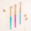 Brosse à dents en plastique recyclé | Tête amovible